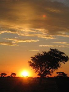 African_sunset