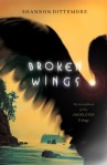 broken-wings-cover