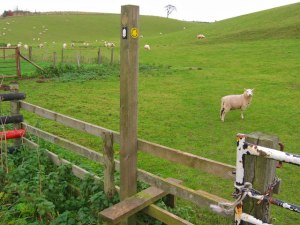 Wolds_Way_Stile_-_geograph.org.uk_-_285429